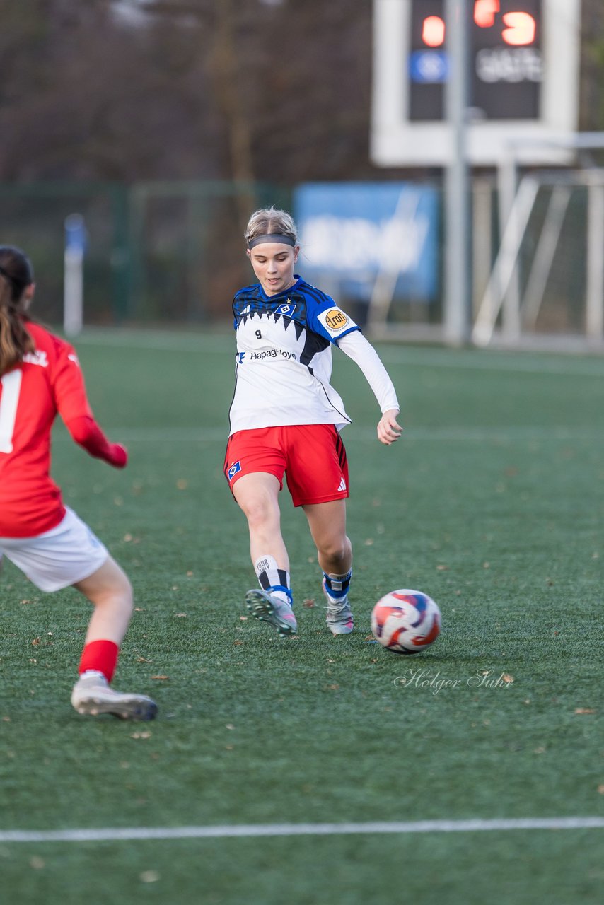 Bild 383 - wBJ Hamburger SV - Holstein Kiel : Ergebnis: 8:0